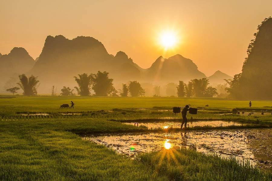 Landscape of Vietnamese Village