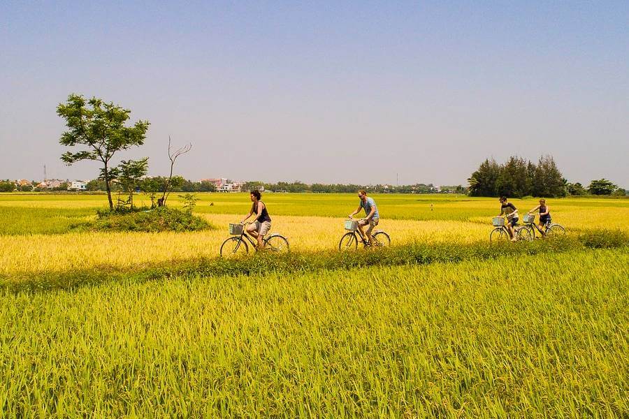 Vietnam DMC - Ride bicycles in Vietnam