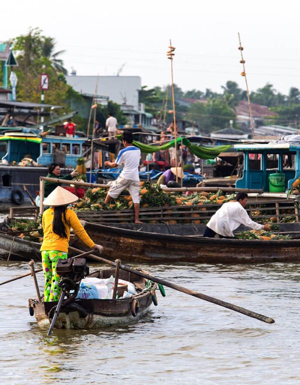 Vietnam DMC for Indian Travel Agencies Viet Dan Travel