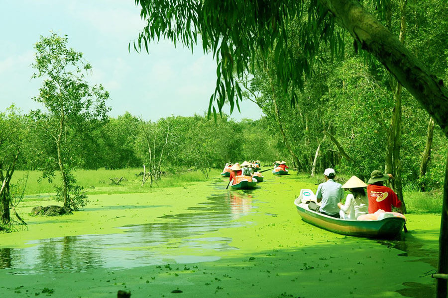 Tra Su Cajuput Forest - Vietnam DMC