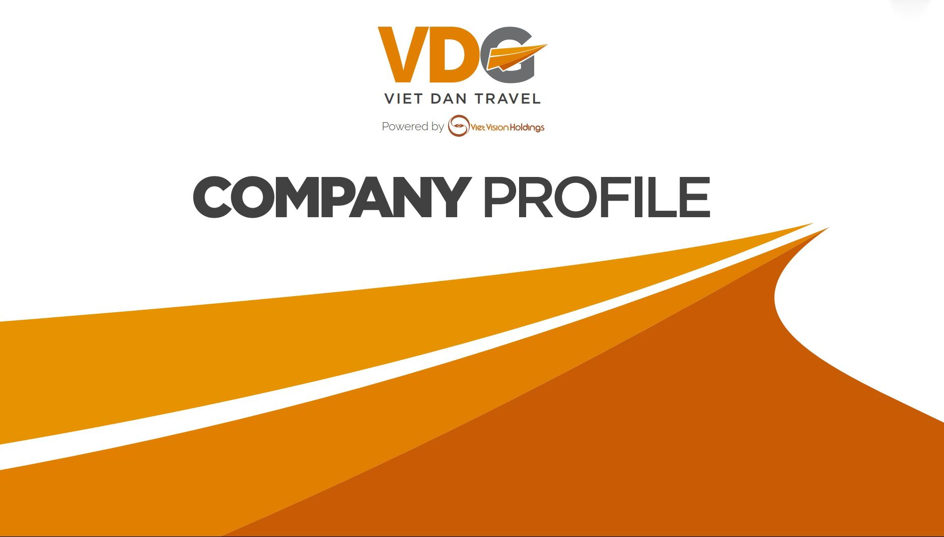 viet dan travel company profile