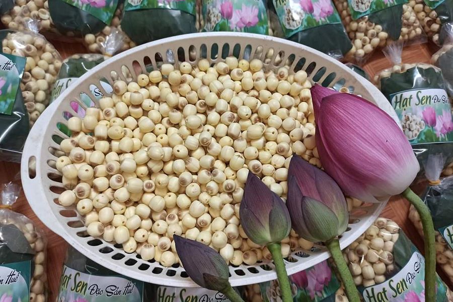 Hue Lotus Seed