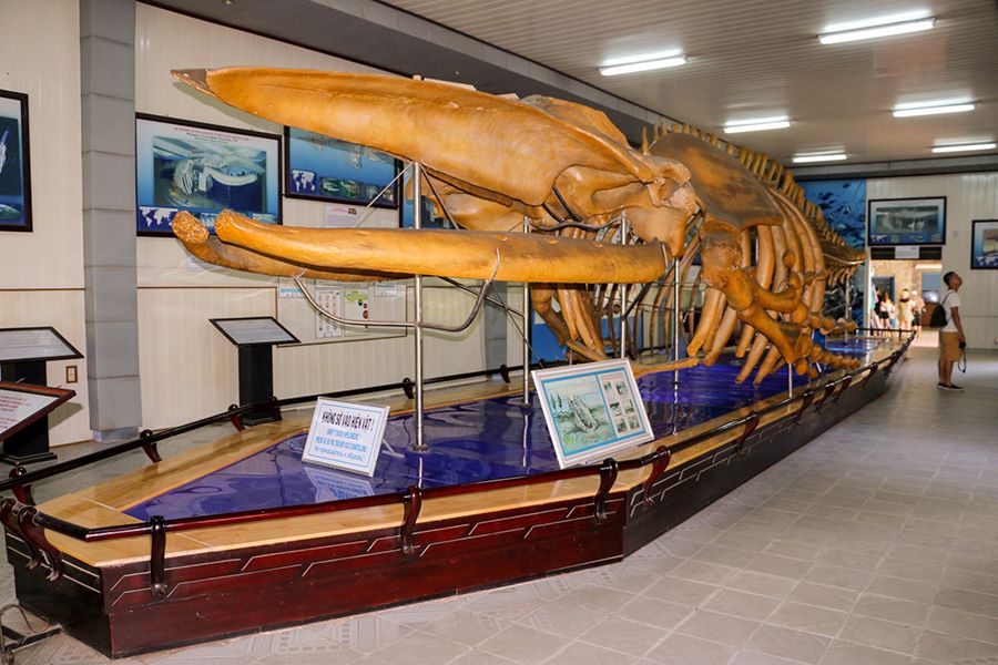 Nha Trang National Oceanographic Museum