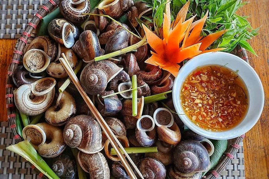 Ninh Binh Mountain Snail