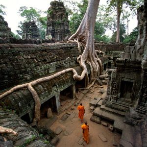 Ta Prohm - tours to cambodia