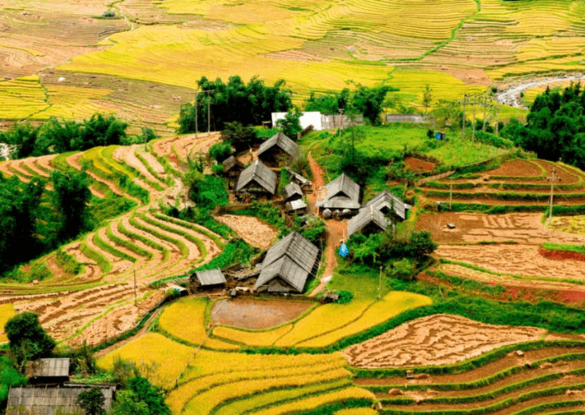 Terraced rice fields and mountain village in Sapa, October