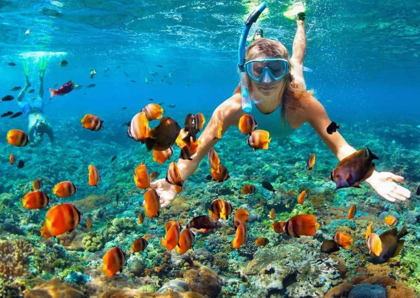 Snorkeller swimming with tropical fish over coral reef Phu Quoc