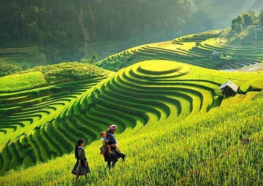Terraced rice fields in Mu Cang Chai, Vietnam, with Hmong women walking through lush green paddy steps