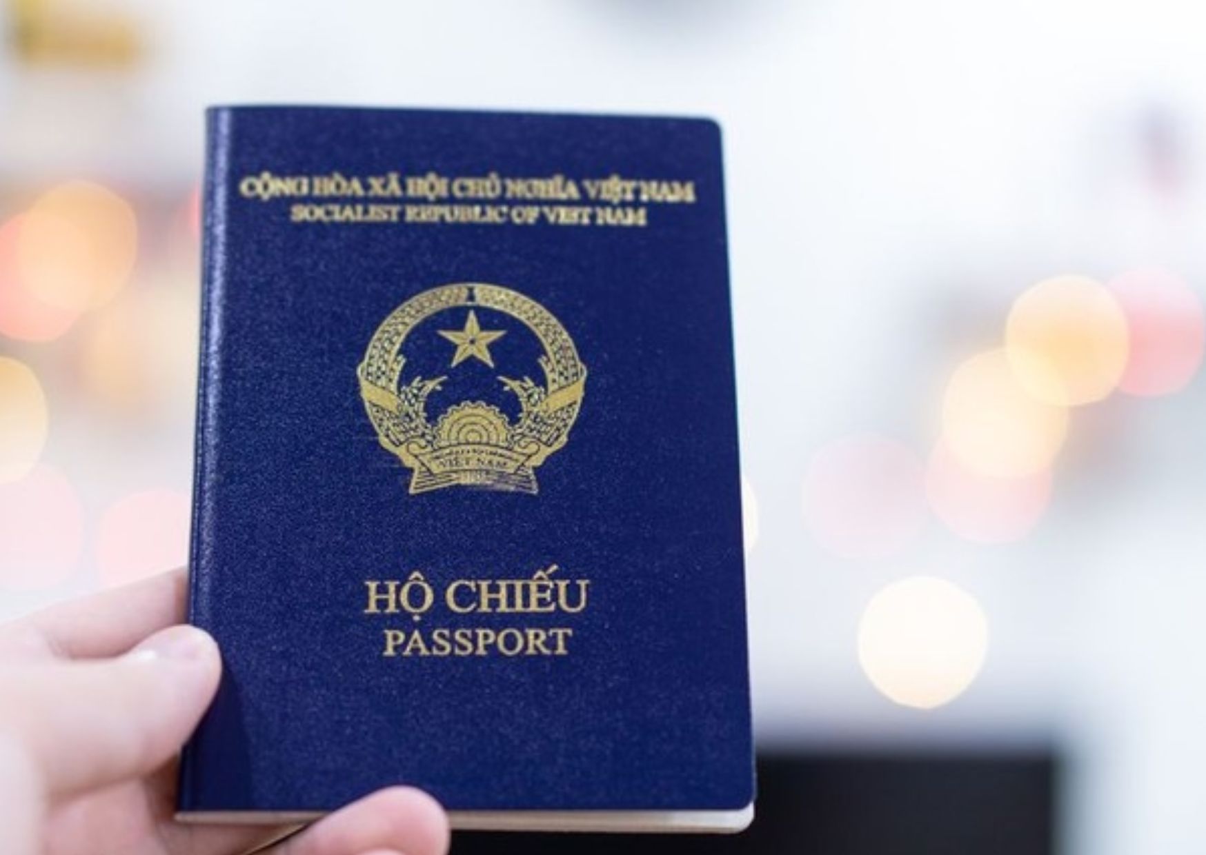 Vietnam visa for delegates