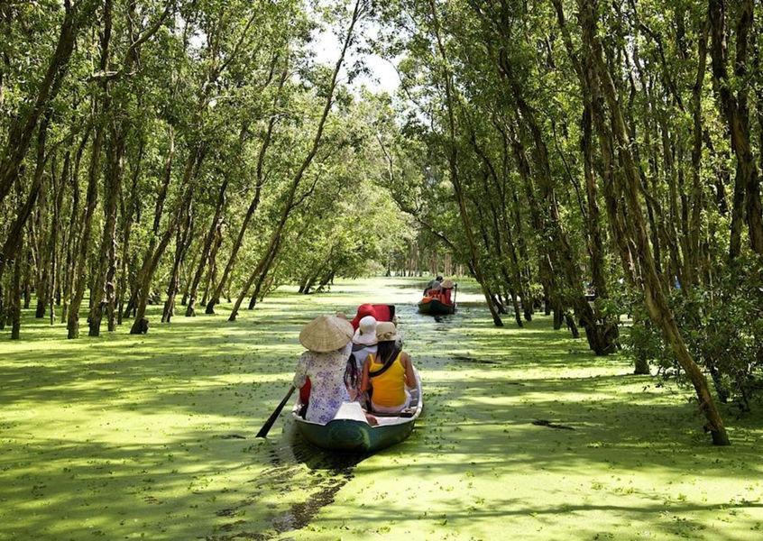 Sampan boats rowing through a flooded mangrove forest on a Mekong Delta day trip
